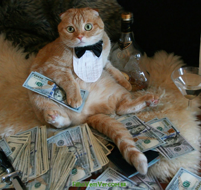 Clique para exibir a imagem